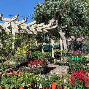 Meet your Posher, Talisa